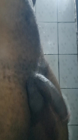 Big belong black penis