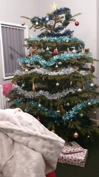 Stepmom helps stepson jerk off on Christmas Tree