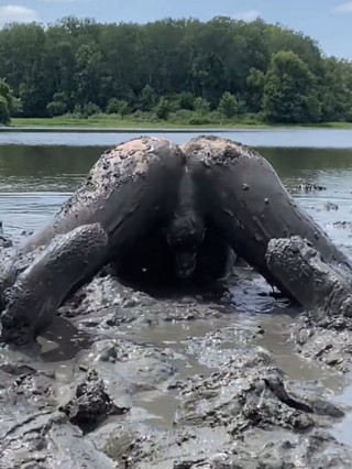 Lets get dirty thumbnail