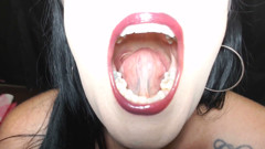 Super Mouth Tour Everything