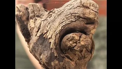 /beam/67a861b8cc498f247e7f52bb