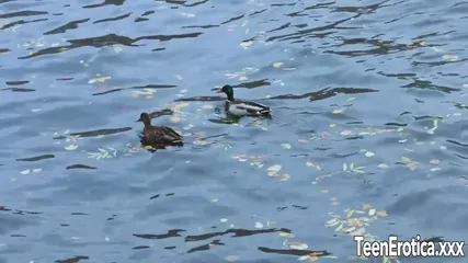 /beam/67a862f2cc498f247e8e642b