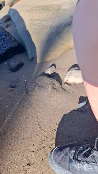 Naked on the beach