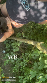 Cruisng Area BJ in the Woods