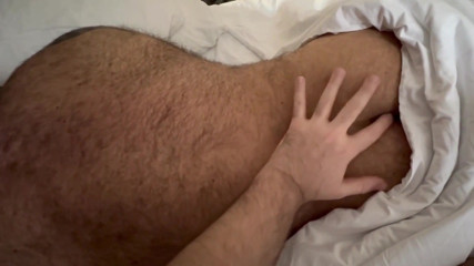 Relax with Bears