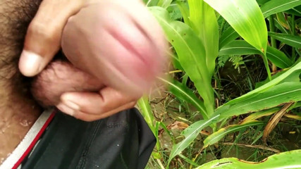 Outdoor Handjob and Cumshot on Grass