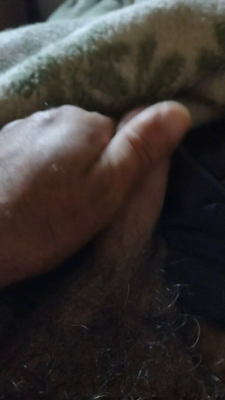 Penis