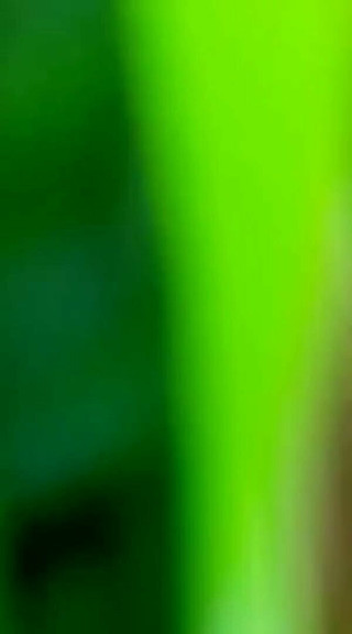 /beam/21351014