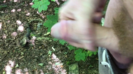 Wanking my hard cock outdoors in the Woods