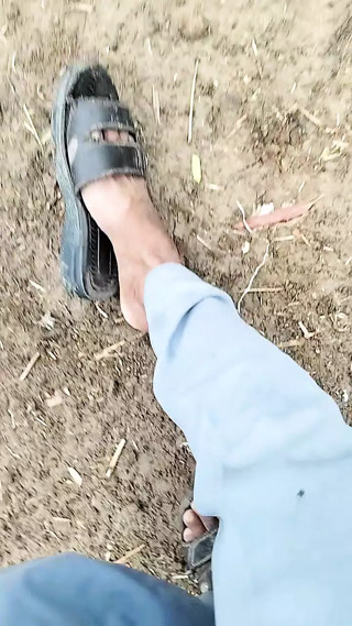 Xxxxx gmfjg