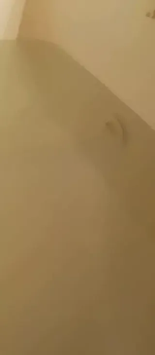 /beam/67a861cfcc498f247e80557e