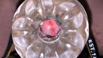 Close-up Cock in Tool for Masturbate Orgasm on Flash