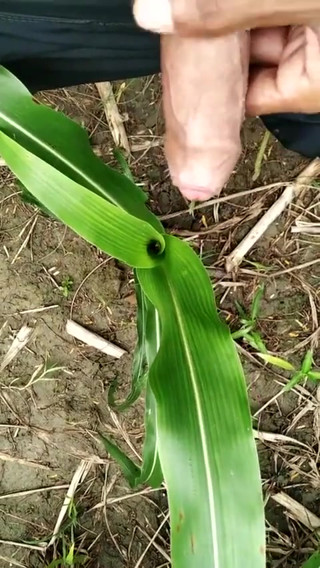 Pissing on Grass in Outdoor