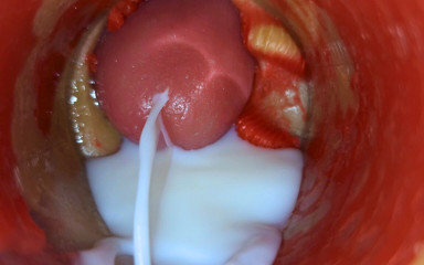 Inside POV Camera Captures an Intense Climax thumbnail
