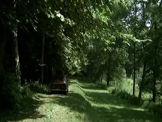 /beam/67a85eeecc498f247e536cc1