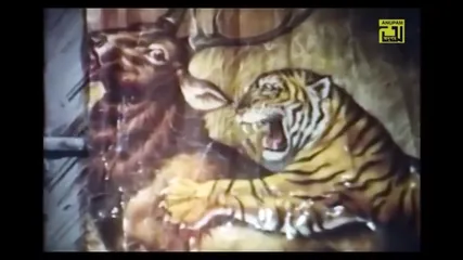 /beam/67a86111cc498f247e760da2