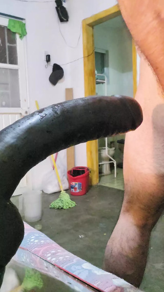 Scam up My Ass
