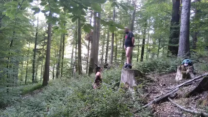 /beam/67a862d3cc498f247e8cd974