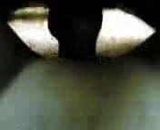/beam/1665509