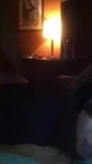 /beam/67a85e54cc498f247e49200a