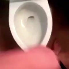 the dream