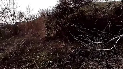 /beam/67a862d8cc498f247e8d21fc