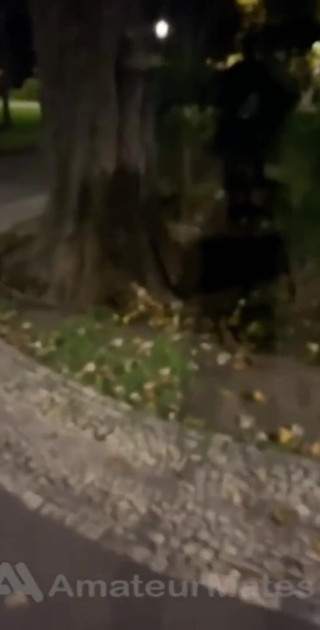 Amateur Boy Caught Peeing in a Park and Given a Handjob