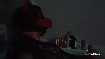 Pup Buddy introduces himself and jerks off