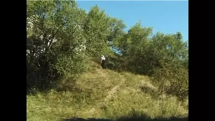 /beam/67a86315cc498f247e90133c