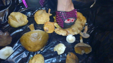 /beam/11054823
