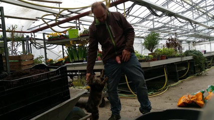 Eiere in der Arbeit abbinden