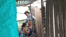 Neighbors having sex