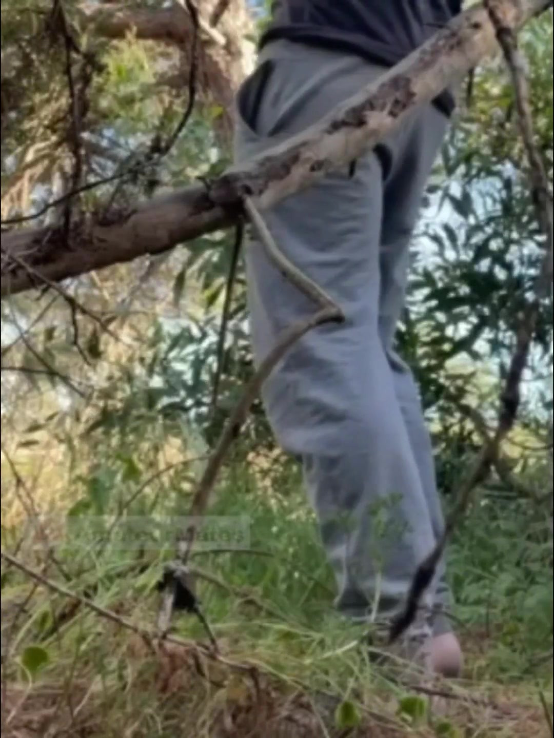 Hot Amateur Boy Sucks and Rims in the Woods