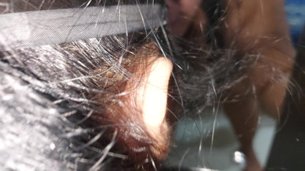 Bbw bitch enjoying riding my dick