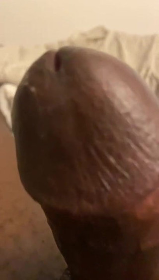 bbc for you snap