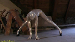 Fullbody Catsuit