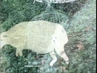 /beam/69635aec3f0d81077a337872