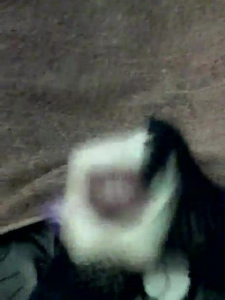 Tranny cum