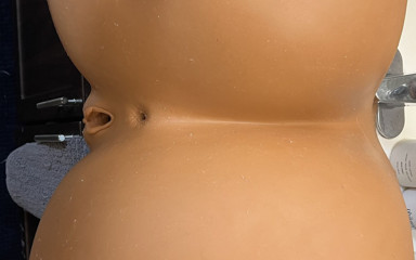 Anal Back Shots and Creampie on Massive Booty R3 Clm Sex Doll