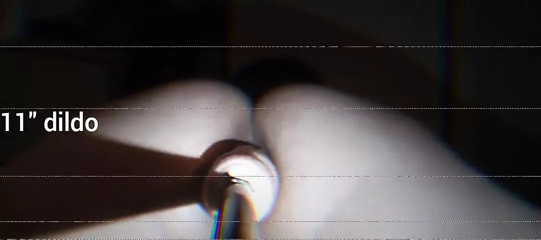 Amber plays with machine