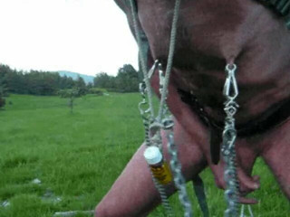clamps in a hike
