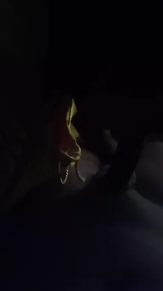 /beam/67a86297cc498f247e89ffec