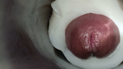 Internal view: vulva twitching and ejaculation 1