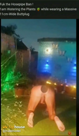1am Naked in the Garden & a Buttplug