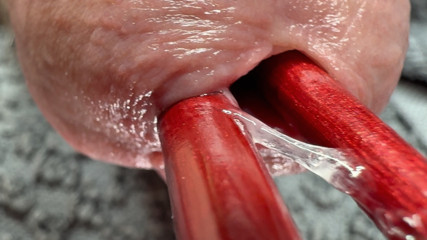 Penis Penetration