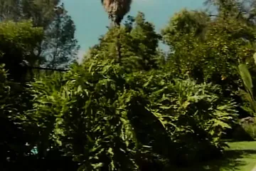 /beam/67a86390cc498f247e9670a6