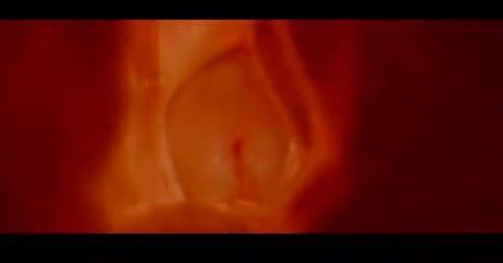 The penis into the vagina of the lens