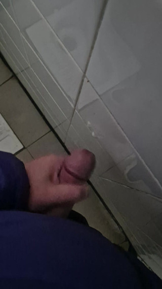 Bulgarian big thick dick cum in public toilets