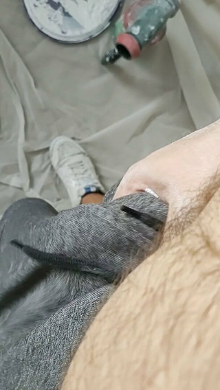 Dirty painter cums when he finishes his work on