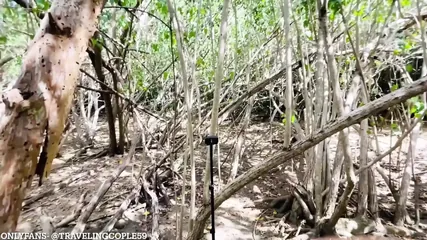 /beam/67a86271cc498f247e883159